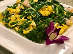-东四民芳餐厅(世茂工三店)