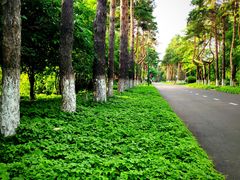 -黑龙江省森林植物园
