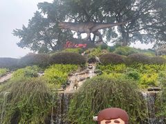 -自贡恐龙博物馆