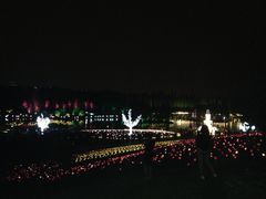 -秀丽东方