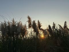 -苏州湾体育公园