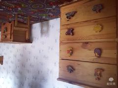 -金山农民画村-枫泾波兰倒置屋