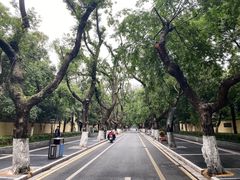 -颐和路民国时期公馆风貌区