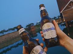 -阳光海岸露营公园