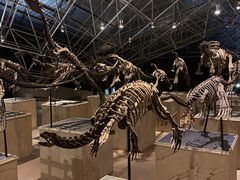 -世界恐龙谷景区