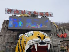 -栾川竹海野生动物园