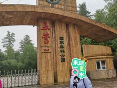 -五营红松林海景区