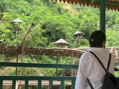 -西双版纳原始森林公园