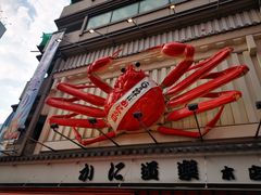 -蟹道乐(道顿堀本店)