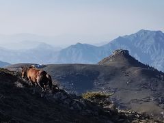 -灵山