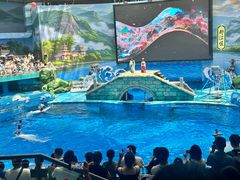 -海合安成都极地海洋公园