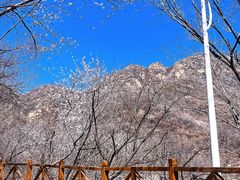 -大岭沟猕猴桃谷风景区