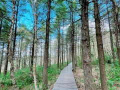 -白草畔自然风景区