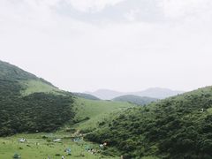-大姆山草场