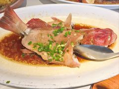 -阿毛饭店首店·宁波老字号(文化广场店)