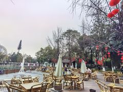 -成都市活水公园