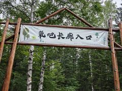 -汤旺河林海奇石景区