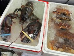 -众彩物流水产市场