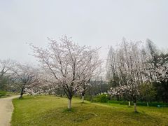 -杭州植物园