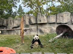 -上海野生动物园