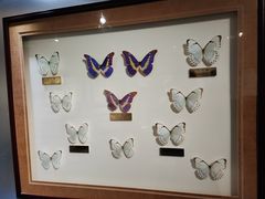 -上海昆虫博物馆