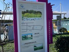 -上海都市菜园
