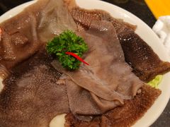 特色鲜毛肚-一斗火锅·招财羊毛肚(北温泉九号店)