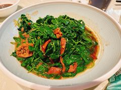 金花菜蚌肉-金典银峰老鹅馆·昆山菜(亭林公园店)