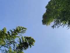 -会稽山峡洞漂流-上青古道