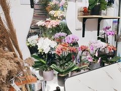 -FEI FEI FLOWER鲜花店·气球派对·宝宝宴布置(虹口德必运动Loft店)