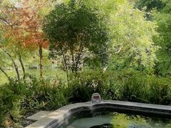 -和顺柏联温泉