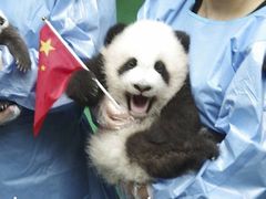 -蛙来哒(金沙洲万达店)