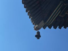 -雍和宫
