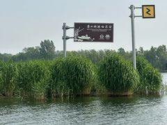 -白洋淀风景区