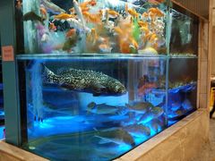 -稻香迎囍皇宫(港惠店)