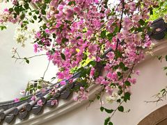 -深圳国际园林花卉博览园