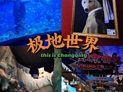 -海合安青岛极地海洋公园