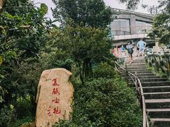 -梧桐山风景名胜区