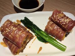 -南枝记