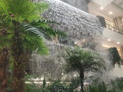 -眷茶(赛格国际购物中心店)