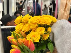 -循礼门鲜花花市(武汉循礼门店)