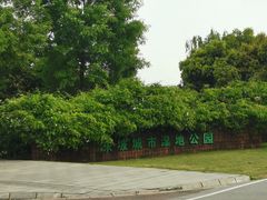 -眉山湿地公园(东坡区)