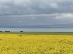 -青海湖国家重点风景名胜区