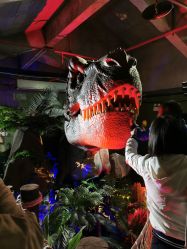 点击看大图 -恐龙探索乐园(磁器口店)