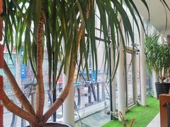 -惠友大虾(太原北街店)