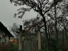 -灵谷景区