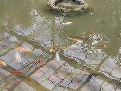 -南通洲际绿博园