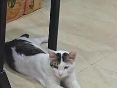 -玉椰林甜品店(创始店)