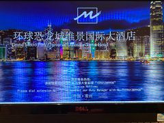 -常州环球恐龙城维景国际大酒店