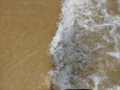 -日照海滨国家森林公园